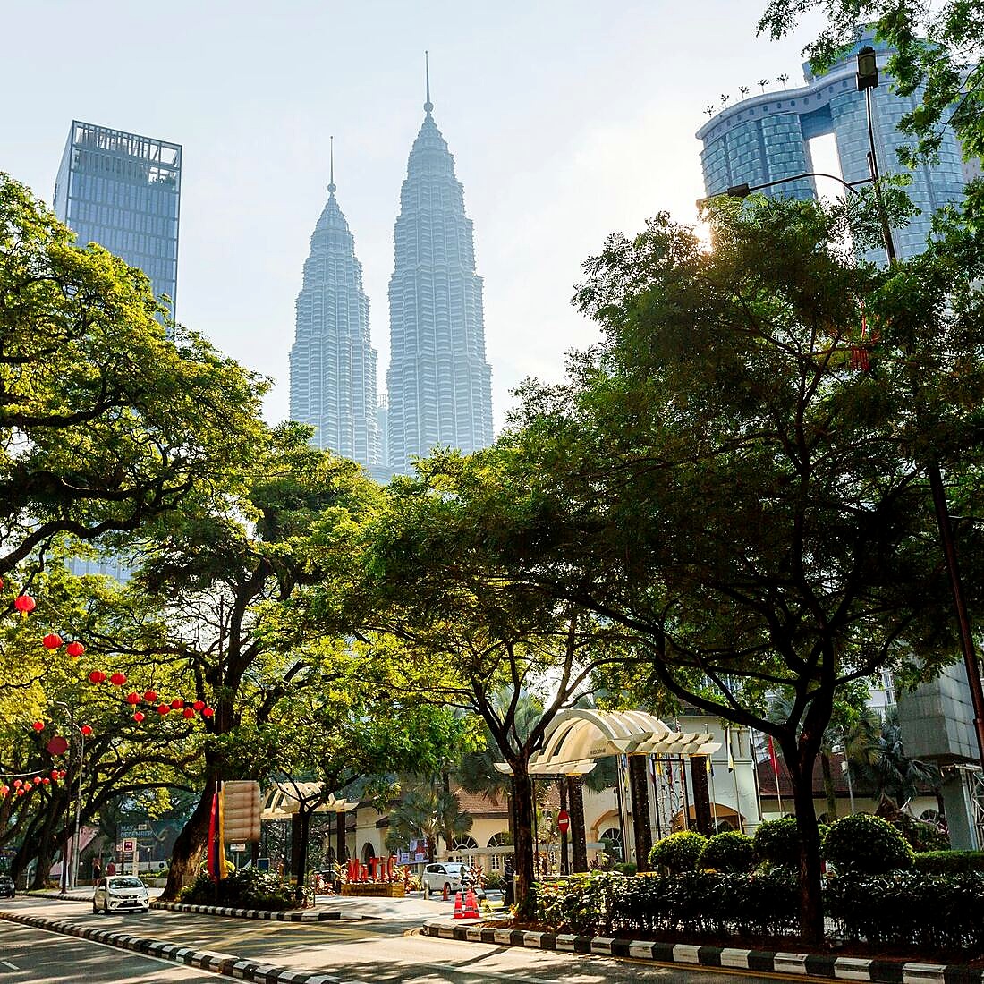 Petronas Twin Towers framed by street trees in Kuala Lumpur